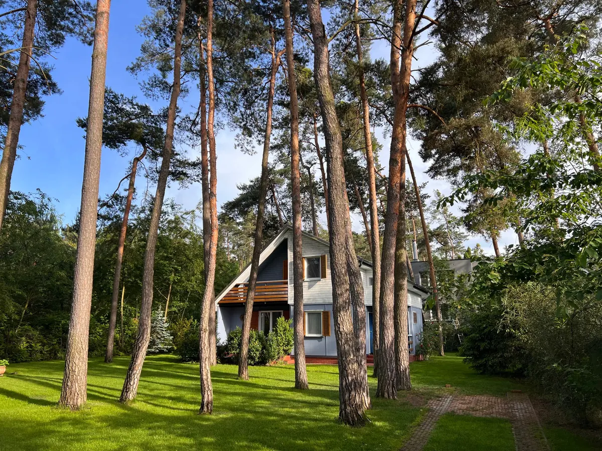 Dům z boku mezi borovicemi, s terasou