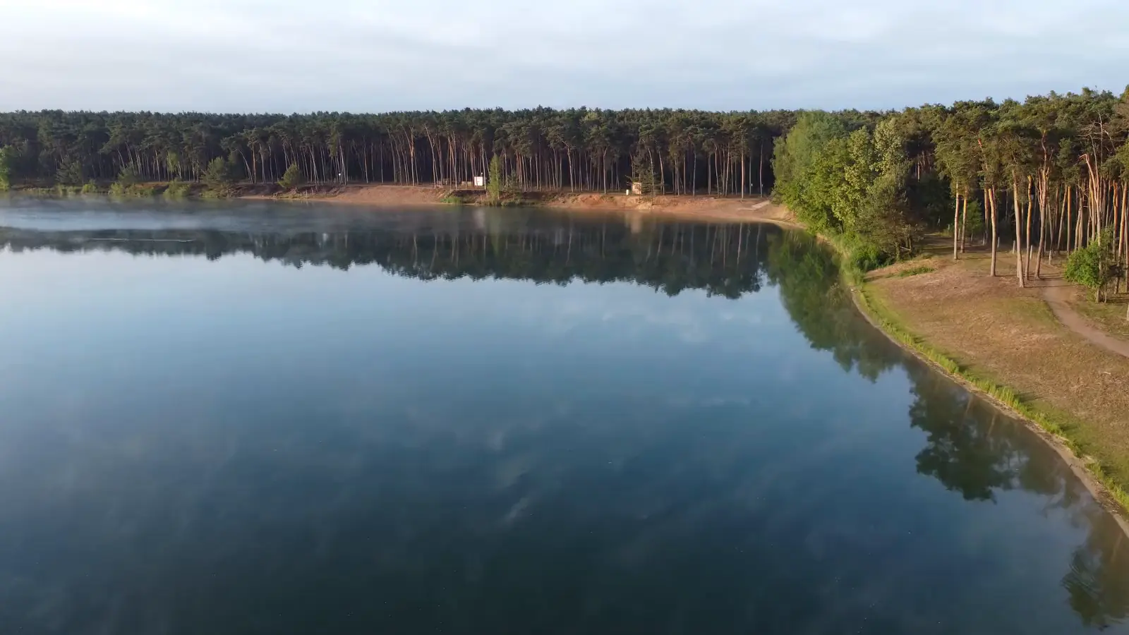 Ráno nad jezerem: klidná hladina s oparem zrcadlí borový les na břehu
